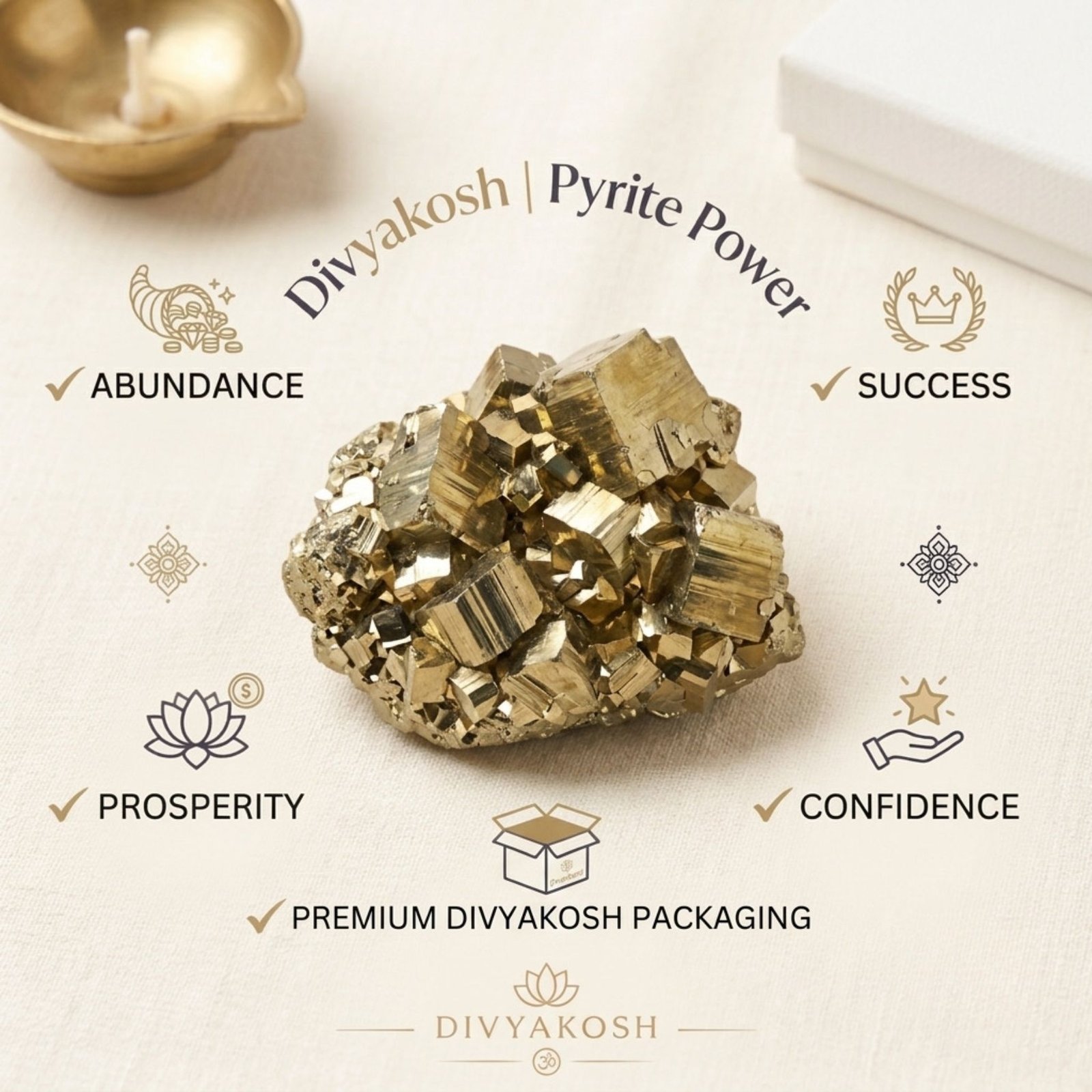 Divyakosh premium product