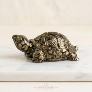 Natural Pyrite Tortoise Kachhua – Divyakosh