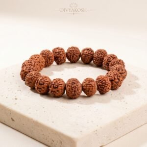 Natural 7 Mukhi Rudraksha Bracelet – Divyakosh