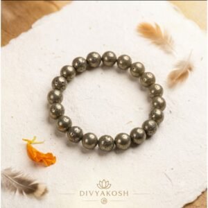 Divyakosh Premium Product
